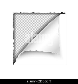 papier vectoriel 3d réaliste angle déchiré sur fond blanc, modèle avec espace pour le texte. Illustration de Vecteur