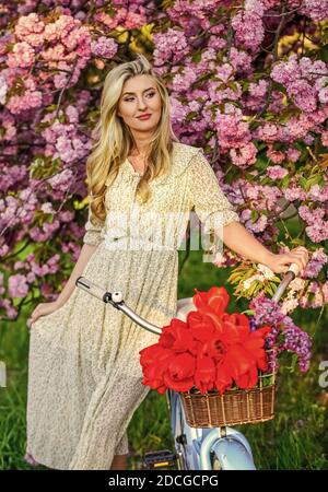 Vacances de printemps. Concept de tourisme. Transport et voyages. Saison Sakura. Flore et botanique. Femme avec bouquet de tulipes. Fleurs d'arbre Sakura. Fille décontracté robe rétro croiseur vélo sakura arbre. Banque D'Images