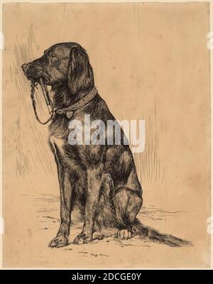 Arthur B. Davies, (artiste), cuisine américaine, 1862 - 1928, chien d'Aldrich, fin des années 1880, stylo et encre noire touché de blanc sur le papier cousu préparé, total: 26.6 x 21 cm (10 1/2 x 8 1/4 po Banque D'Images