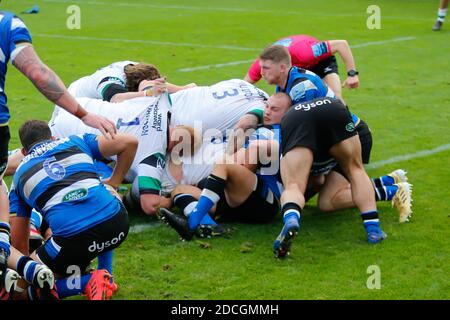 Bath, Royaume-Uni. 02 novembre 2020. BATH, ANGLETERRE. LES Falcons DU 22 NOVEMBRE ont obtenu leur deuxième essai lors du match de première classe Gallagher entre Bath Rugby et Newcastle Falcons au terrain de loisirs de Bath, le dimanche 22 novembre 2020. (Credit: Chris Lishman | MI News) Credit: MI News & Sport /Alay Live News Banque D'Images