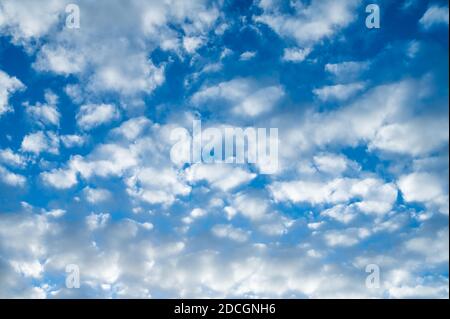 Des nuages patchés blancs, probablement des nuages Altocumulus dans l'atmosphère moyenne, contre le ciel bleu en automne, par une journée ensoleillée et sèche.