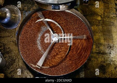 Les grains de café fraîchement torréfié provenant d'un grand torréfacteur de café est versé dans le cylindre de refroidissement. Motion Blur sur les haricots. Banque D'Images