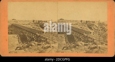 Dale Creek Bridge., Jackson, William Henry (1843-1942), Union Pacific Railroad Company, Utah Banque D'Images