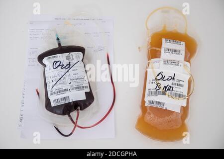 15 novembre 2020, KrakÃ³W, Pologne: Sacs de plasma de sang de COVID-19 convalescents au Centre régional de don de sang et de transfusionÂ (Regionalne Centrum Krwiodawstwa i Krwiolecznictwa) à Cracovie.le Centre régional de don de sang et de transfusion recueille le plasma de sang en utilisant une méthode appelée plasmaphérèse, au cours de laquelle le plasma est isolé du sang, tandis que le reste des éléments sanguins sont retransférés au donneur. La convalescence peut également donner du sang par une méthode traditionnelle, après quoi le plasma est séparé du sang dans une série de procédures de laboratoire. Le sang régional de Cracovie D Banque D'Images