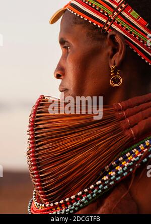 Rendille tribeswoman portant la coiffure traditionnelle et mpooro engorio collier, province de Rift Valley, lac Turkana, Kenya Banque D'Images