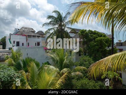 Maisons de ville en pierre dans les palmiers, comté de Lamu, Shela, Kenya Banque D'Images