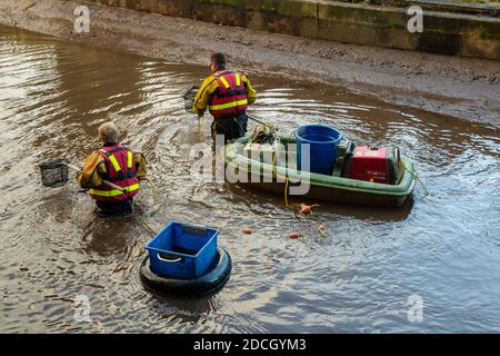 Électropêche du Monbucshire et du canal de Brecon en préparation au drainage la section du canal pour l'entretien Banque D'Images