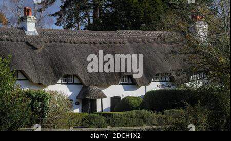 Rangée de maisons de chaume jointes à Swan Green New Forest Hampshire Angleterre Royaume-Uni, 18e siècle Grade 2 Banque D'Images