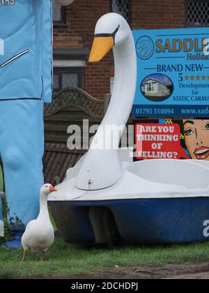 Leysdown, Kent, Royaume-Uni. 21 novembre 2020. Une oie est devenue le meilleur ami avec un vieux bateau d'amusement 'wan bateau', qui est maintenant situé à l'extérieur de Bay View Garden Center près de Leysdown dans le Kent. L'oie est régulièrement vue assis avec le cygne en plastique beaucoup plus grand. Le 'Leysdown Giant' est également à proximité et a été décoré pour soutenir le NHS. Crédit : James Bell/Alay Live News Banque D'Images