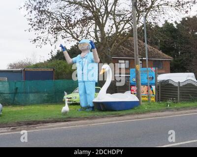 Leysdown, Kent, Royaume-Uni. 21 novembre 2020. Une oie est devenue le meilleur ami avec un vieux bateau d'amusement 'wan bateau', qui est maintenant situé à l'extérieur de Bay View Garden Center près de Leysdown dans le Kent. L'oie est régulièrement vue assis avec le cygne en plastique beaucoup plus grand. Le 'Leysdown Giant' est également à proximité et a été décoré pour soutenir le NHS. Crédit : James Bell/Alay Live News Banque D'Images