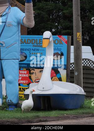 Leysdown, Kent, Royaume-Uni. 21 novembre 2020. Une oie est devenue le meilleur ami avec un vieux bateau d'amusement 'wan bateau', qui est maintenant situé à l'extérieur de Bay View Garden Center près de Leysdown dans le Kent. L'oie est régulièrement vue assis avec le cygne en plastique beaucoup plus grand. Le 'Leysdown Giant' est également à proximité et a été décoré pour soutenir le NHS. Crédit : James Bell/Alay Live News Banque D'Images