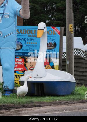 Leysdown, Kent, Royaume-Uni. 21 novembre 2020. Une oie est devenue le meilleur ami avec un vieux bateau d'amusement 'wan bateau', qui est maintenant situé à l'extérieur de Bay View Garden Center près de Leysdown dans le Kent. L'oie est régulièrement vue assis avec le cygne en plastique beaucoup plus grand. Le 'Leysdown Giant' est également à proximité et a été décoré pour soutenir le NHS. Crédit : James Bell/Alay Live News Banque D'Images