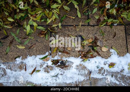 Feuilles et neige sur le trottoir humide du parc Banque D'Images