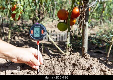 Mesure de la température du sol, de la teneur en humidité, de l'humidité de l'environnement et de l'éclairage dans un potager Banque D'Images