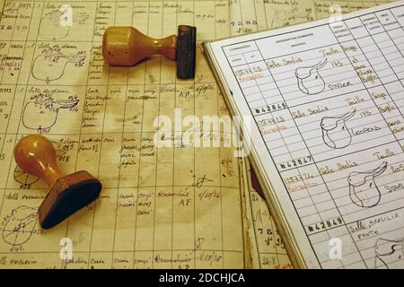 FRANCE / IIe-de-France / Paris / atelier Hermès Saddle à Paris /volumes de livres manuscrits. Banque D'Images