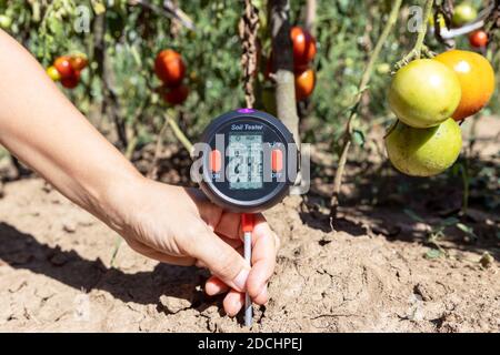 Mesure de la température du sol, de la teneur en humidité, de l'humidité de l'environnement et de l'éclairage dans un potager Banque D'Images