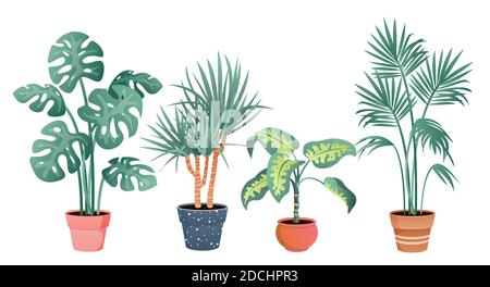 Maison tropicale plantes décor scénario ensemble d'illustration, dessin animé plat plante en pot de la collection botanique tropicale dans pot d'argile isolé sur blanc Illustration de Vecteur