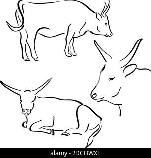 Vache à lignes plates. Animal de ferme. Vecteur Illustration de Vecteur