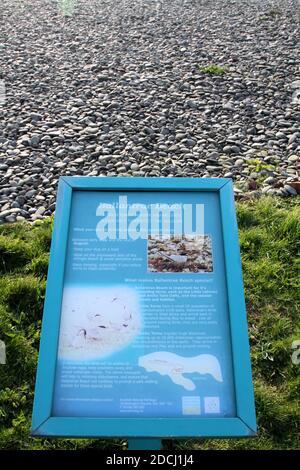 Ballantrae , South Ayrshire, Écosse . ROYAUME-UNI. Panneaux d'information à Ballantrae re la plage et Johnny Hood. Un panneau relatant l'histoire de Johnny Hood, ferryman irlandais en 1930s. En 1933, Johnny part dans son petit traversier — un bateau ouvert de 30 pieds — d'Islandmagee à Larne, tous deux situés dans le comté d'Antrim. Malheureusement pour Johnny, son hélice s'est brisée dans un climat de pluie battante et de fortes mers. Il a dérivé à la merci des vents pendant trente-huit heures avant d'être épaté sur des rochers juste au sud de Ballantrae. Banque D'Images