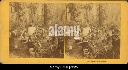 Camping à l'extérieur, Californie. [non 970], image fixe, stéréographes, 1870 - 1910, frères Kilburn Banque D'Images