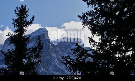 Belle vue sur les montagnes sauvages et enneigées de Rätikon dans les Alpes à Montafon, Autriche avec les silhouettes de conifères. Banque D'Images