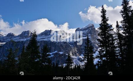 Vue majestueuse sur les montagnes sauvages et enneigées de Rätikon dans les Alpes à Montafon, Autriche avec les silhouettes de conifères en automne. Banque D'Images