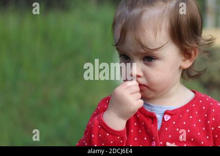 Un petit enfant mange des fraises fraîches. Banque D'Images