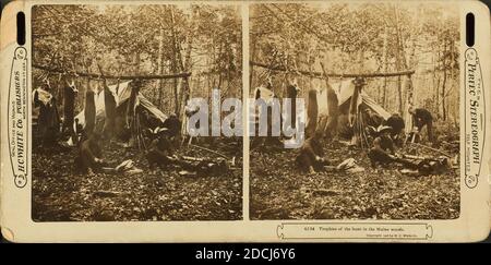 Trophées de la chasse dans les bois du Maine. [Camp de chasseurs de cerfs montrant des hommes qui cuisent et se détendent.], image fixe, stéréographes, 1850 - 1930 Banque D'Images