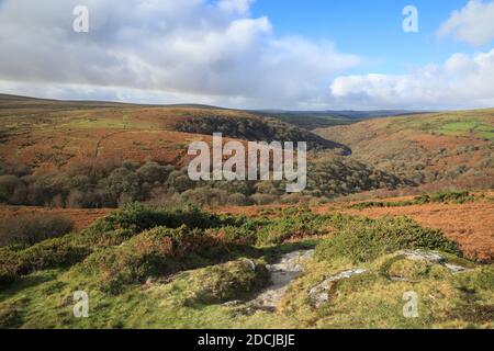 Vue d'automne depuis Bench tor jusqu'à la Dart gorge, parc national de Dartmoor, Devon, Royaume-Uni Banque D'Images