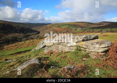 Vue d'automne depuis Bench tor jusqu'à la Dart gorge, parc national de Dartmoor, Devon, Royaume-Uni Banque D'Images