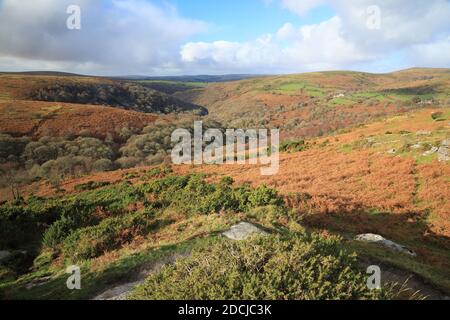 Vue d'automne depuis Bench tor jusqu'à la Dart gorge, parc national de Dartmoor, Devon, Royaume-Uni Banque D'Images