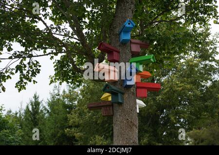 Festival d'oiseaux en bois coloré sur l'arbre Banque D'Images