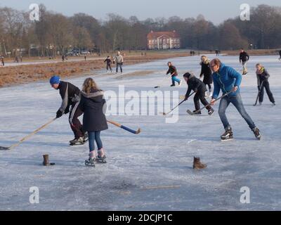 Elle, Dammaschwiesen mit Albrecht-Thaer Haus, Winter, Schlittschuhlaufen Banque D'Images