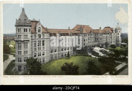 American Museum of Natural History, New York, N. Y., image fixe, cartes postales, 1898 - 1931 Banque D'Images