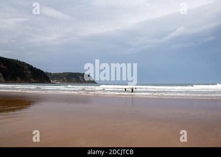 Rodiles, Asturies / Espagne - 6 novembre 2020: Une femme surfeuse poussins se dirigeant dans les vagues à la plage de Rodiles dans les Asturies Banque D'Images