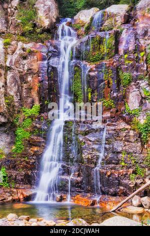 Cascade pittoresque dans le parc de la forêt tropicale de Minnamourra sur la rivière Minnamourra par une journée ensoleillée. Banque D'Images