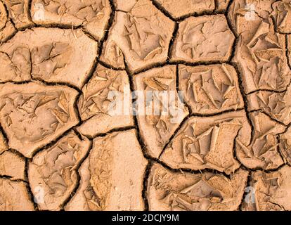 terre brune sèche fissurée, surface de terre sèche, arrière-plan abstrait texturé. Terres déshydratées, sécheresse. Copier l'espace Banque D'Images