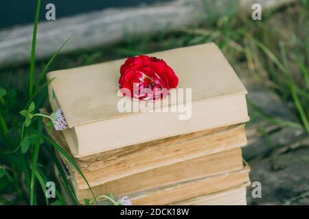 Carte vintage avec pile de vieux livres et rose rouge fleurs à l'extérieur