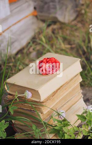 Carte vintage avec pile de vieux livres et rose rouge fleurs à l'extérieur