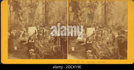 Camping à l'extérieur, Californie. [non 970], image fixe, stéréographes, 1870 - 1910, frères Kilburn Banque D'Images