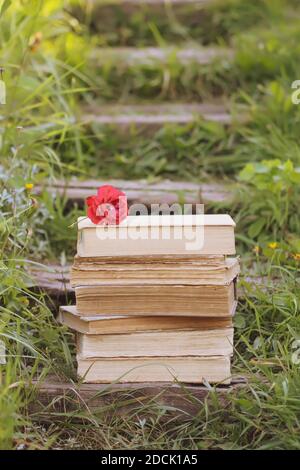 Carte vintage avec pile de vieux livres et rose rouge fleurs à l'extérieur