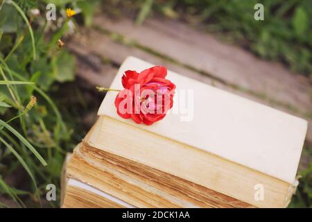 Carte vintage avec pile de vieux livres et rose rouge fleurs à l'extérieur