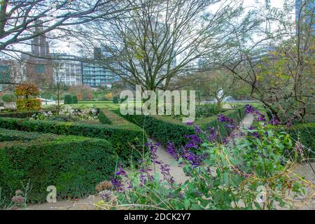 Jardin botanique impressionnant dans le centre-ville de Bruxelles à la fin de l'automne avec fleurs violettes et arbustes topiaires Banque D'Images