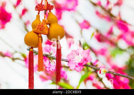 Bouteille dorée suspendue et sac rouge « Fu » (c'est-à-dire riche et argent) avec fleurs de pêche en arrière-plan, amulette ou accessoires en chinois Nouveau Banque D'Images