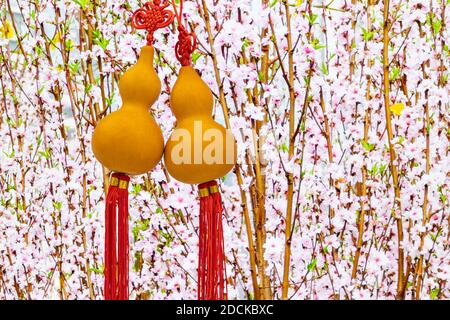 Gourde en bouteille dorée avec fleurs de pêche en arrière-plan, amulette ou accessoires en nouvel an chinois pour la fortune et le bonheur. Banque D'Images