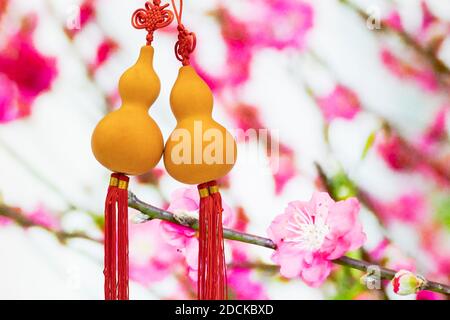 Gourde en bouteille dorée avec fleurs de pêche en arrière-plan, amulette ou accessoires en nouvel an chinois pour la fortune et le bonheur. Banque D'Images