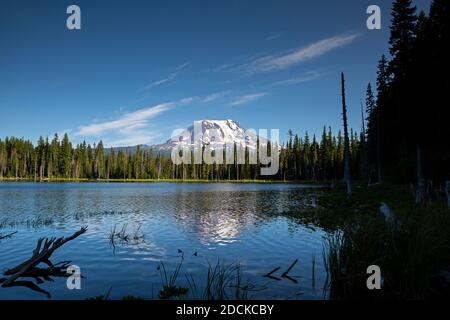 WA18394-00...WASHINGTON - la réflectine du mont Adams dans le lac Horseshoe de la forêt nationale Gifford Pinchot. Banque D'Images