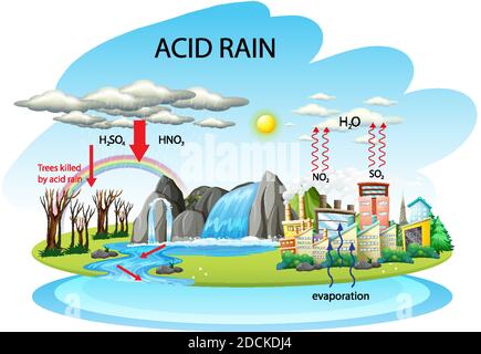 Schéma illustrant la voie des pluies acides sur fond blanc Illustration de Vecteur