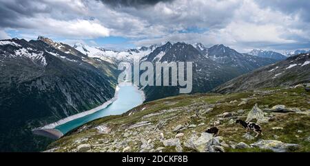 Vue du Berliner Hoehenweg au réservoir Schlegeis, réservoir Schlegeis, Alpes de Zillertal, glacier de Schlegeiskees, Zillertal, Tyrol, Autriche Banque D'Images