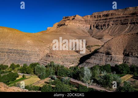 Montagnes, paysage érodé avec oasis fluviale et petits champs dans la vallée supérieure de Dades, Oued Dades près de Msemrir, Haut Atlas, Maroc Sud, Maroc Banque D'Images